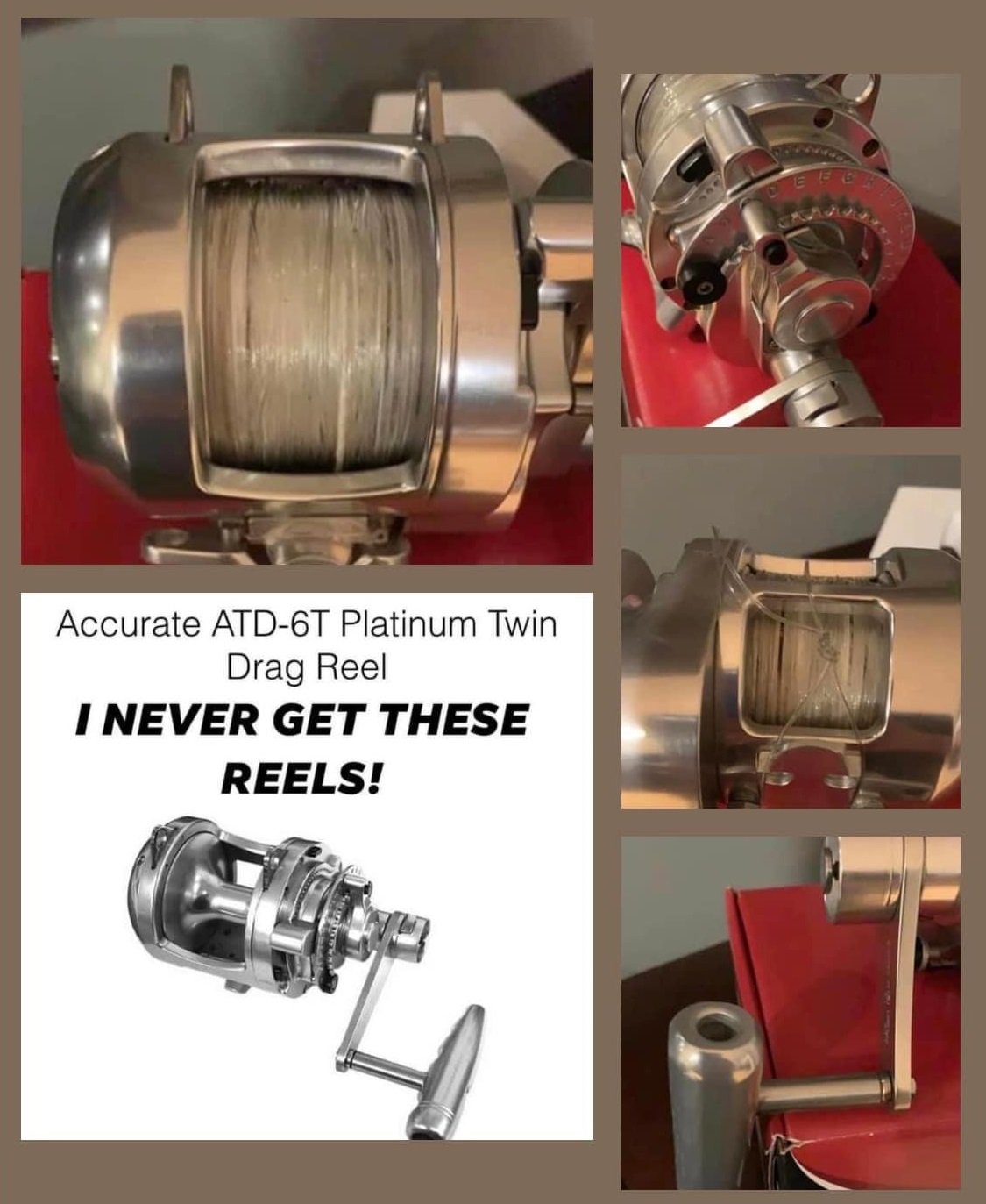 Accurate Platinum ATD 6 For Sale - Graf Stef Sport